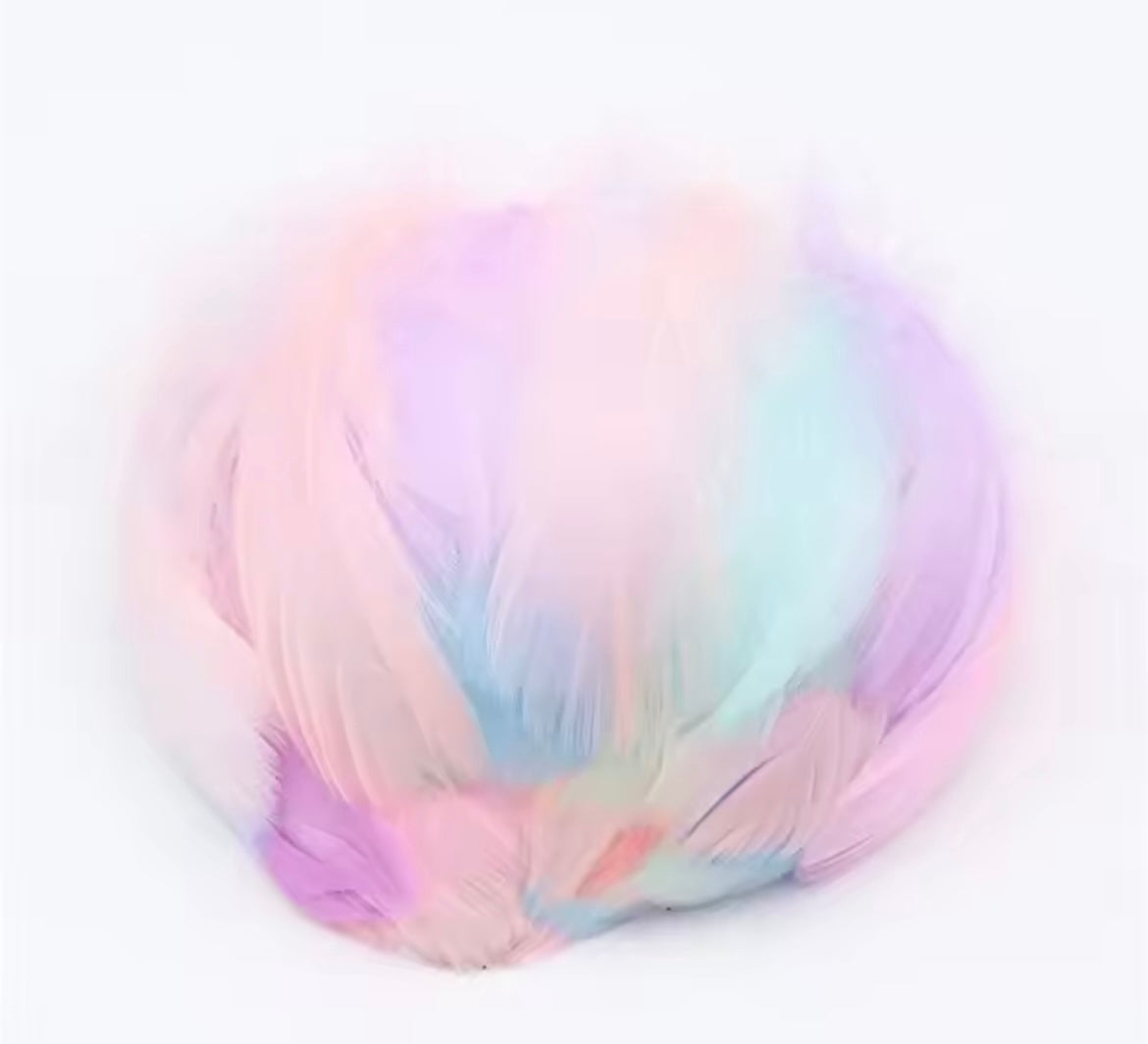 Swan Pastel Feathers for Art Projects and Costumes