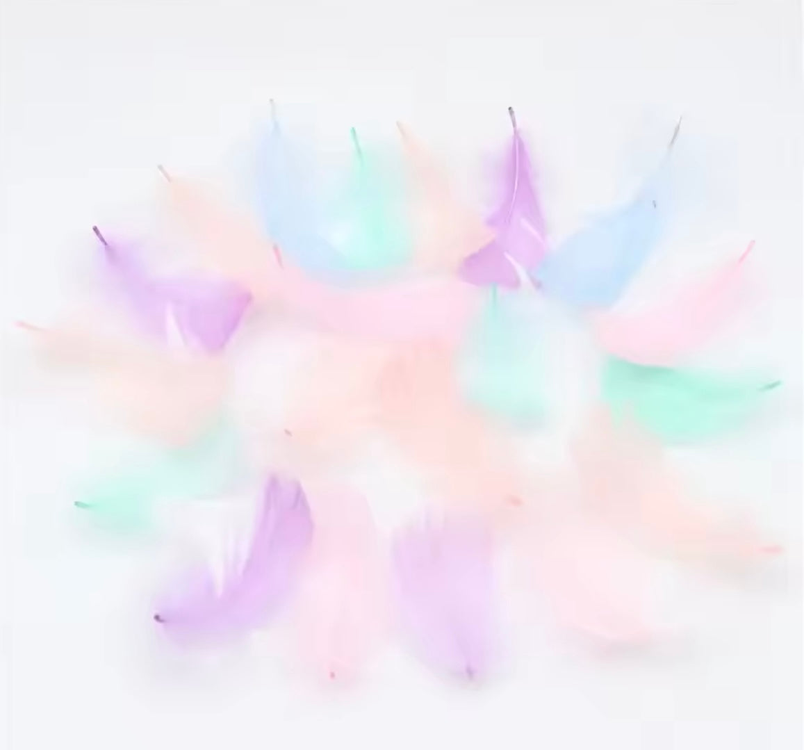 Swan Pastel Feathers for Art Projects and Costumes