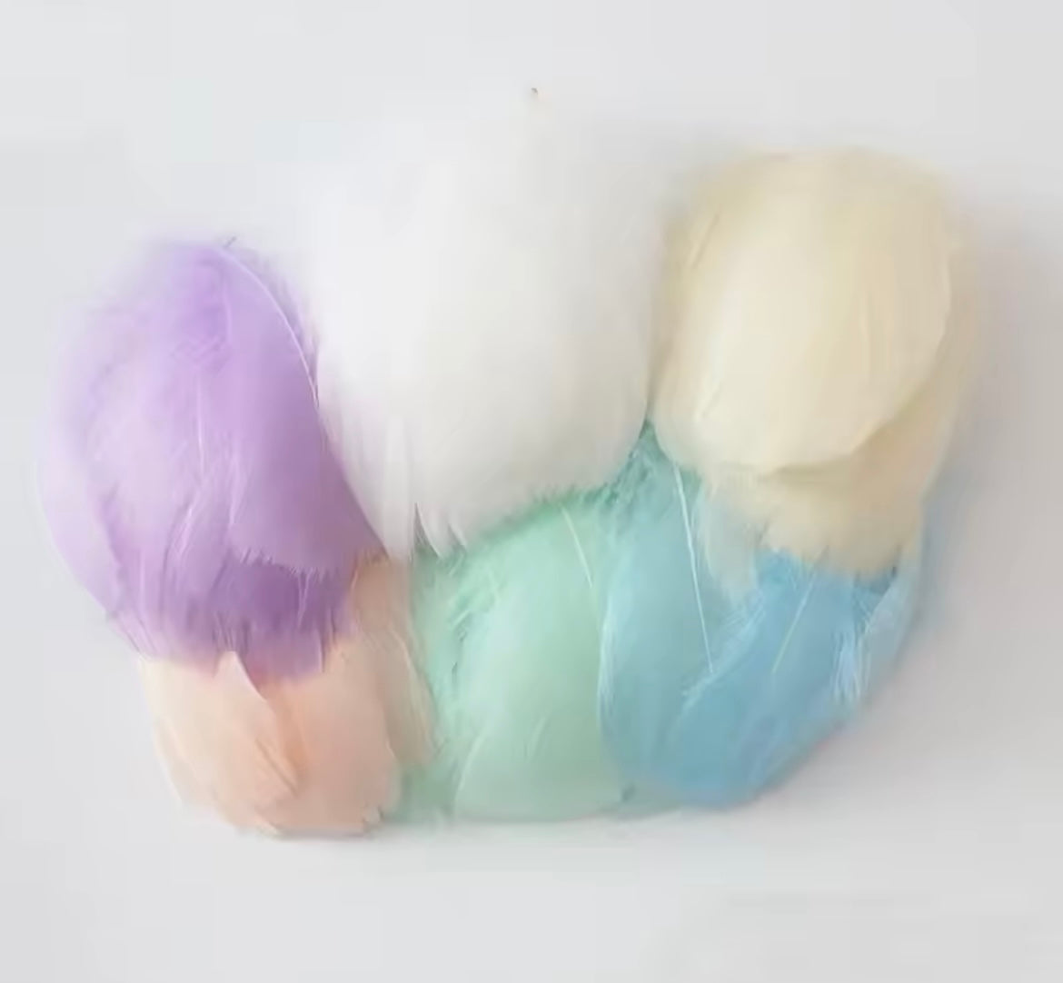 Swan Pastel Feathers for Art Projects and Costumes