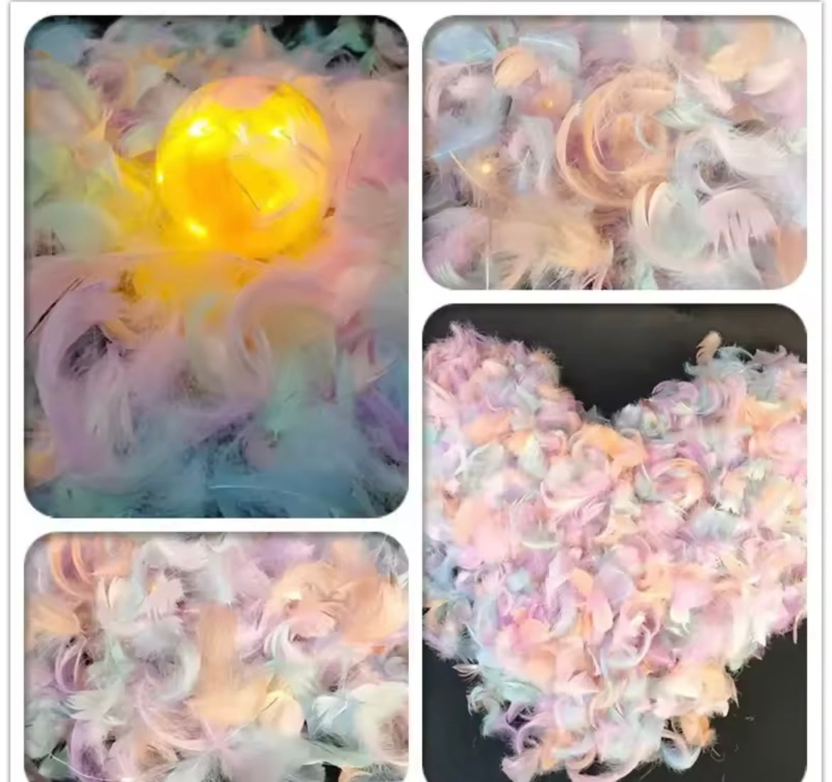 Swan Pastel Feathers for Art Projects and Costumes